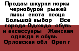 Продам шкурки норки, чернобурой, рыжей лисы, енота, песца. Большой выбор. - Все города Одежда, обувь и аксессуары » Женская одежда и обувь   . Орловская обл.,Орел г.